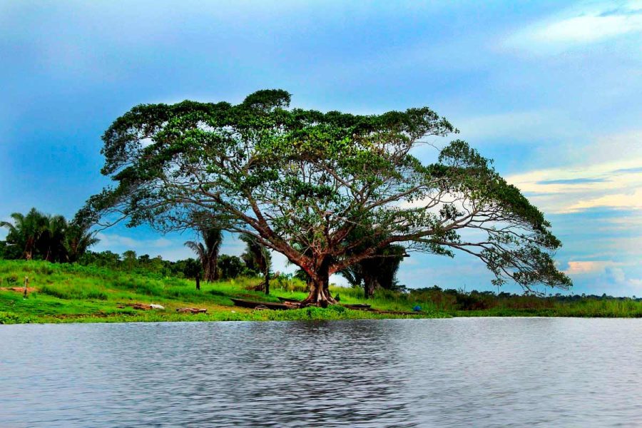 LAGUNA CASHIBOCOCHA “Contacto con la naturaleza”
