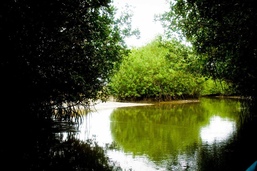 PIURA – MANCORA (schoolchildren)