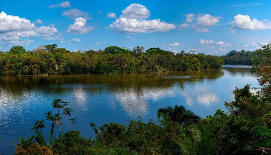 Descubre la Reserva Nacional Tambopata: Un Destino de Turismo Sostenible en la Amazonía Peruana