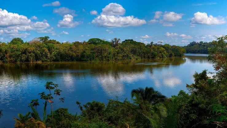 Descubre la Reserva Nacional Tambopata: Un Destino de Turismo Sostenible en la Amazonía Peruana