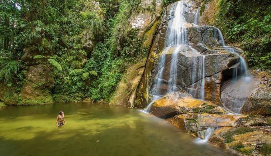 Turismo en Selva Alta: Tarapoto y Tingo María