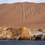Del Mar al Desierto: Full Day Paracas